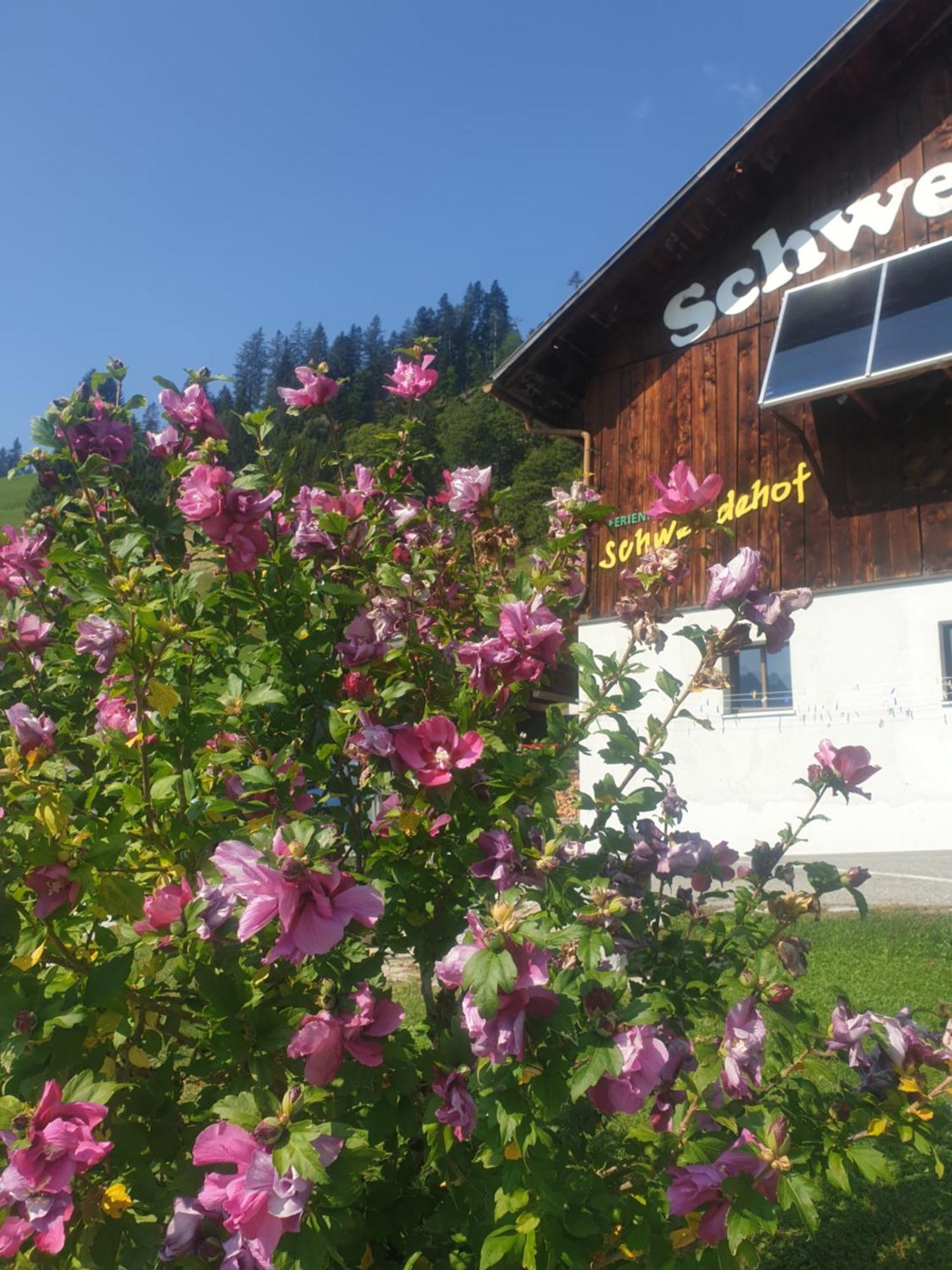 Ferienhaus Schwendehof فونتانيلا المظهر الخارجي الصورة